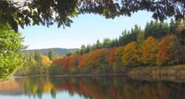 Scotland