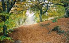 Scotland